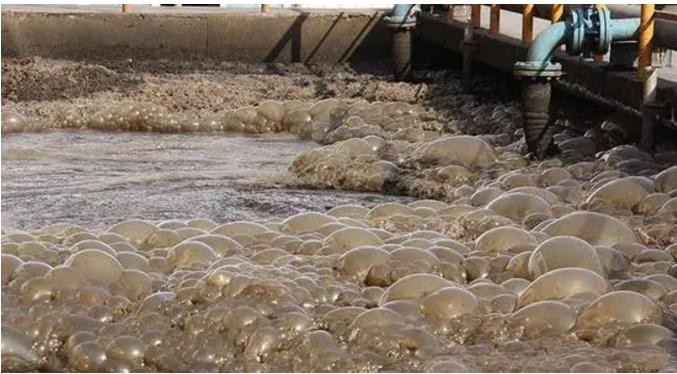 �±�GG��������ҵƽ̨