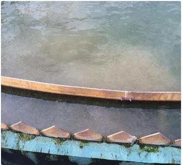 �±�GG��������ҵƽ̨