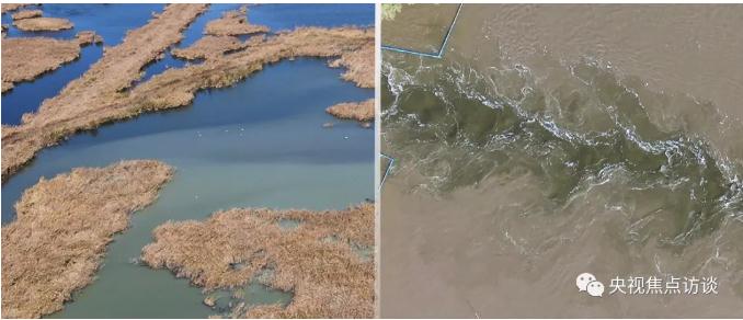 �±�GG��������ҵƽ̨