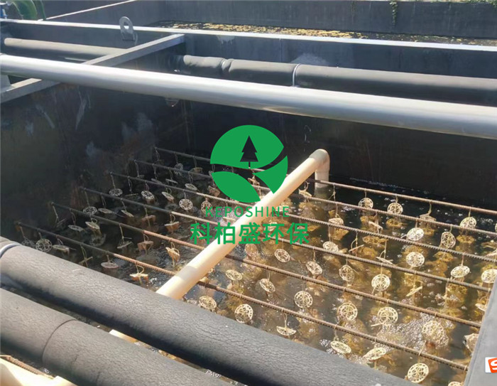 �±�GG��������ҵƽ̨