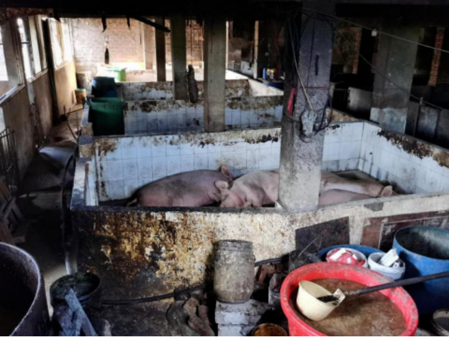 �±�GG��������ҵƽ̨