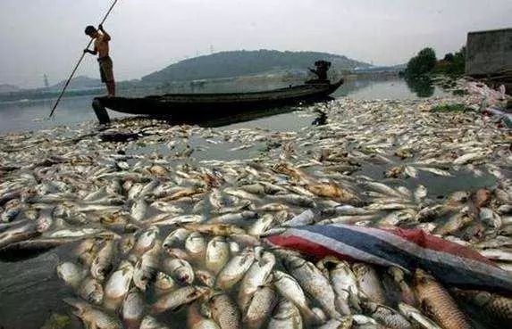 �±�GG��������ҵƽ̨